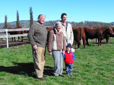 L Sale bulls Bull Dust apr 2017